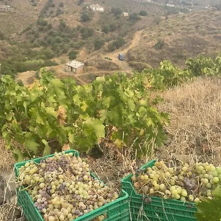 Apartamento “el Vicho” En La Axarquia Almachar